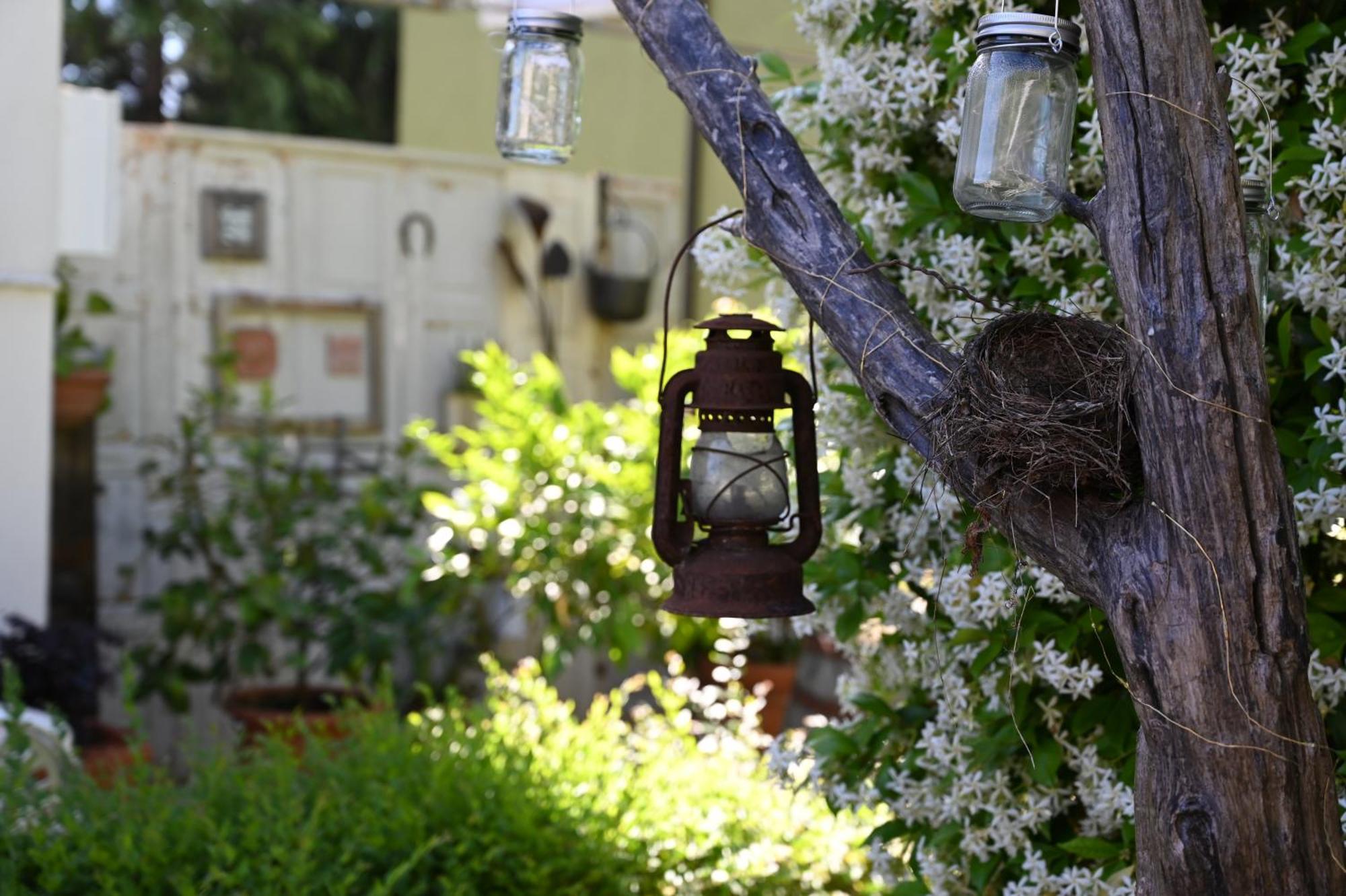 La Garampa Bed and Breakfast Τσεζένα Εξωτερικό φωτογραφία
